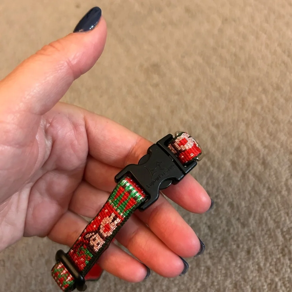 Lupine Christmas collar